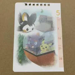ポケモン　2023年　カレンダー　ポストカード　ゾロア