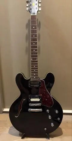 2026年最新】FERNANDES カラー：ブラック系 エレキギターの人気