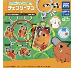 つながリングチャーム チェンソーマン ポチタ 【C】