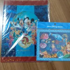 東京ディズニーリゾート☆マウスパッド&ディズニーシー 5周年記念クリアファイル