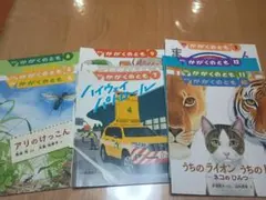 【ぴこ様】ハイウエイパトロール絵本