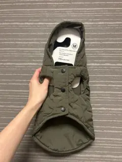 Item thumbnail for item d19aa4a1-c949-4fae-af61-2fc1e3e6b5f0