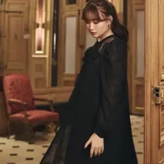 Her lip to French Pleated Lace Dress