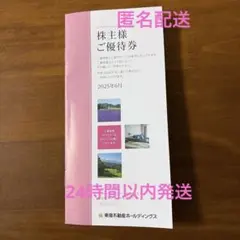 東急不動産ホールディングス　株主優待　100株以上500株未満
