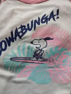 Item thumbnail for item b7cc73b3-a4fc-4ea7-8ee7-84064a4ecc96