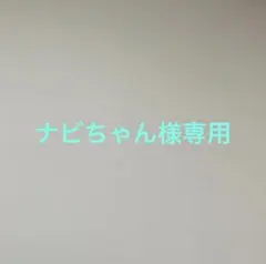 ナビちゃん様　まとめ商品