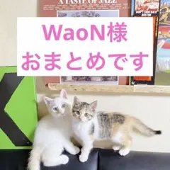 WaoN様 リクエスト 2点 まとめ商品