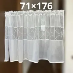 Item thumbnail for item 61dd7fdd-8cc9-4d47-b547-943baa61c9c6