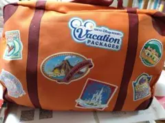 東京ディズニーリゾート バケーションパッケージ バッグとブランケットセット