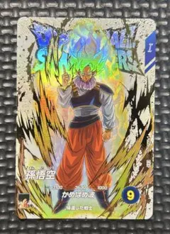 孫悟空　EXR EX5-001