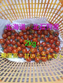 新鮮　北海道北石狩産　スイートミニレッド　2kgのサムネイル