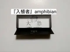 ホラーマーケット ノベみくじ 星海社 イベント限定 amphibianのサムネイル