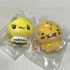 ハニーちゃん アセオ君 2点セット