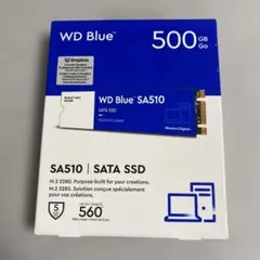 ジャンクウエスタンデジタル 内蔵SSD 500GBWD Blue SN510 ジャンクウエスタンデジタル 内蔵SSD 500GBWD Blue SN510 - メルカリ