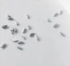 KKK様 リクエスト 2点 まとめ商品