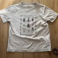 mont-bell キッズ Tシャツ 昆虫図鑑 120のサムネイル