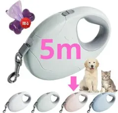 伸縮リード 犬 ロングリード 猫 5m ピンク