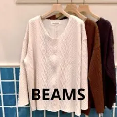 Ray BEAMS ケーブル編み 長袖カットソー　ホワイト　秋冬