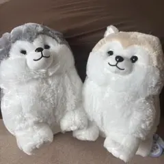 忠犬もちしば＆もふもふシベリアンハスキー ぬいぐるみ 2点セット