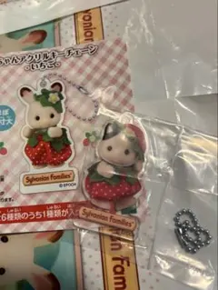 Item thumbnail for item 84b7a416-7e52-40bb-a3e1-e73c0847b912