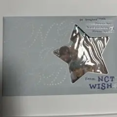 nctwish songbird アルバム