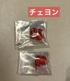 TWICE LOVELYS グミ&チャーム チェヨン2個セット