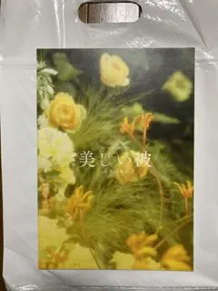 美しい彼 パンフレット