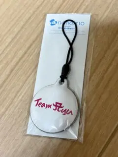 浜崎あゆみ a-nation '10 Team Ayu クリーナーストラップ