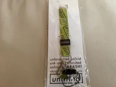 嵐　会場限定　緑