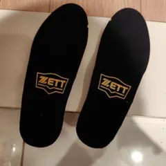 Item thumbnail for item f942a254-93c5-4dd9-b558-42aa94c3662f