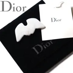 diorhomme エディ期 ストール フリンジ エディスリマン 05 本人期