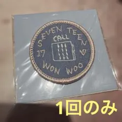 SEVENTEEN ウォヌ ワッペン CARAT SUMMER CAMP - メルカリ