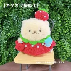 【キタガワ様専用】 いちごコスチューム／バブーシュカ さくらんぼ