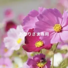あかりさま専用 袂クリップ