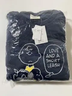 Item thumbnail for item 2293ae96-e19e-4713-b6da-ebc2b054aad2