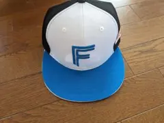 Item thumbnail for item 05e852c1-a1c4-452c-b544-10e47917f559