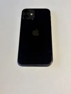 Apple iPhone 12mini ブラック 本体　カメラ難あり、ジャンク品 2026年最新】iphone 12 mini ジャンクの人気アイテム - メルカリ