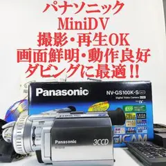 動作品】Panasonic DIGICAM NV-DS5 デジタルビデオカメラ - メルカリ