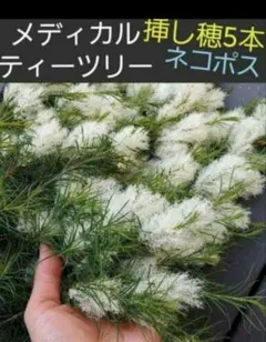 kanon55様 リクエスト 3点 まとめ商品