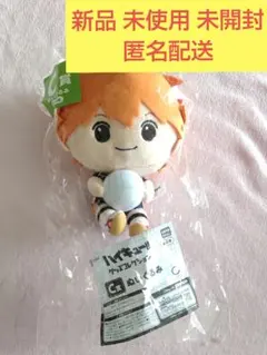 日向翔陽 ハイキュー!!  一番くじ みんなのくじ C賞  ぬいぐるみ
