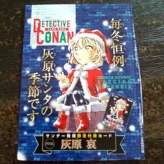 1*】様 【袋綴じ未開封】名探偵コナンTCG サンデー 付録 灰原哀 サンタ