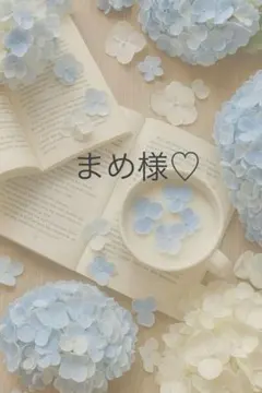 まめ様専用ページ♡