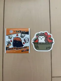 ハイキュー アカアシフクロウ ステッカー