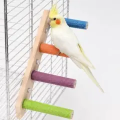 鳥用 4段 はしご 爪とぎ サンドパーチ 止まり木 インコ 運動不足解消のサムネイル