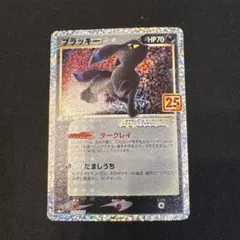 2025年最新】ブラッキー 25th プロモの人気アイテム - メルカリ