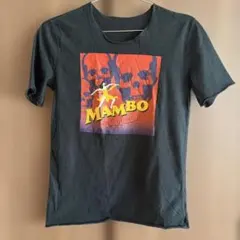 Item thumbnail for item 0828defa-29c0-4891-9faf-4b382497b443