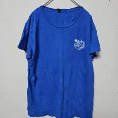 ⭐希少⭐ANVIL【L】 真日光幼童中心 Tシャツ ブルー レディース 古着のサムネイル