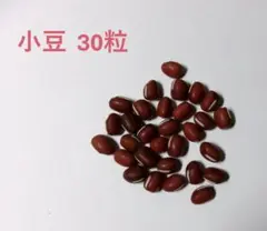 あず様 リクエスト 2点 まとめ商品