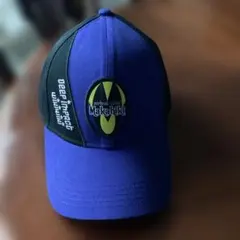 ヤクルトスワローズ プロコレキャップ オープンハウススポンサー着き