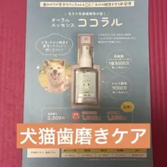 Item thumbnail for item 5eccf071-f7eb-4dcb-8eff-d22261fff922